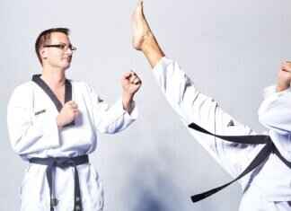 Octillery Pokémon Evolution, Abilities, Moves, and How to Train It for Competitive Play Octillery Pokémon Evolution, Abilities, Moves, and How to Train It for Competitive Play