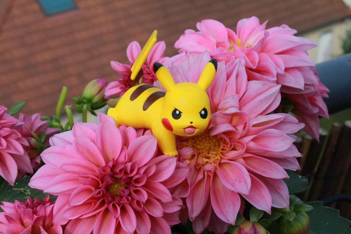 Conclusion: Mastering Oddish for Competitive Success