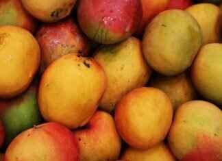 Olympus Scanlation: The Go-To Source for Manga Translations Olympus Scanlation: The Go-To Source for Manga Translations