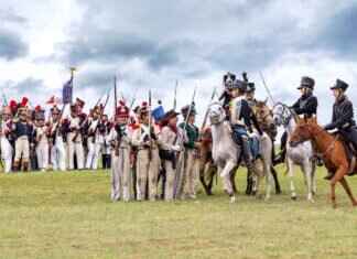 Oranguru Pokémon: Best Moveset, Battle Strategies, and Competitive Play Guide Oranguru Pokémon: Best Moveset, Battle Strategies, and Competitive Play Guide