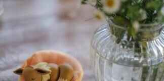 Oricorio Pokémon: Evolution, Best Moveset, and Competitive Strategy Oricorio Pokémon: Evolution, Best Moveset, and Competitive Strategy