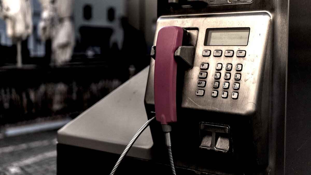 What Are the Key Ingredients in Pad Thai?