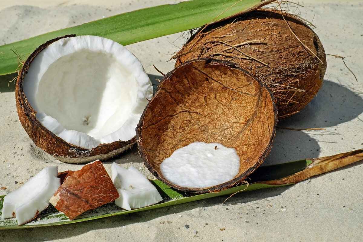 Palm Sugar vs. Coconut Sugar: Which One is Better? 2 What is Coconut Sugar?