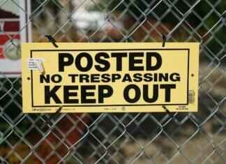 Pansage Pokémon: Best Moves, Abilities, and Competitive Strategies Pansage Pokémon: Best Moves, Abilities, and Competitive Strategies