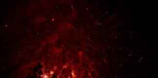 Pansear Pokémon: Strengths, Weaknesses, and Best Battle Tips Pansear Pokémon: Strengths, Weaknesses, and Best Battle Tips