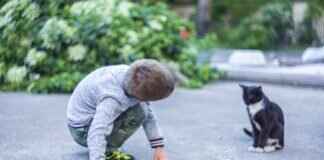 Pat McAfee Jersey: Where to Buy & Best Styles Pat McAfee Jersey: Where to Buy & Best Styles