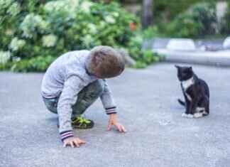 Pat McAfee Jersey: Where to Buy & Best Styles Pat McAfee Jersey: Where to Buy & Best Styles