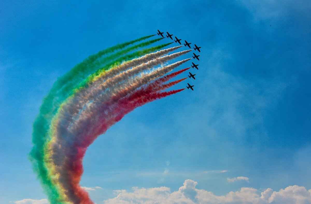 What Are Paw Patrol Books?