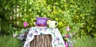 Paw Patrol Decorations: Transform Your Home into Adventure Bay Paw Patrol Decorations: Transform Your Home into Adventure Bay