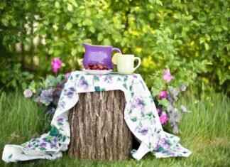 Paw Patrol Decorations: Transform Your Home into Adventure Bay Paw Patrol Decorations: Transform Your Home into Adventure Bay