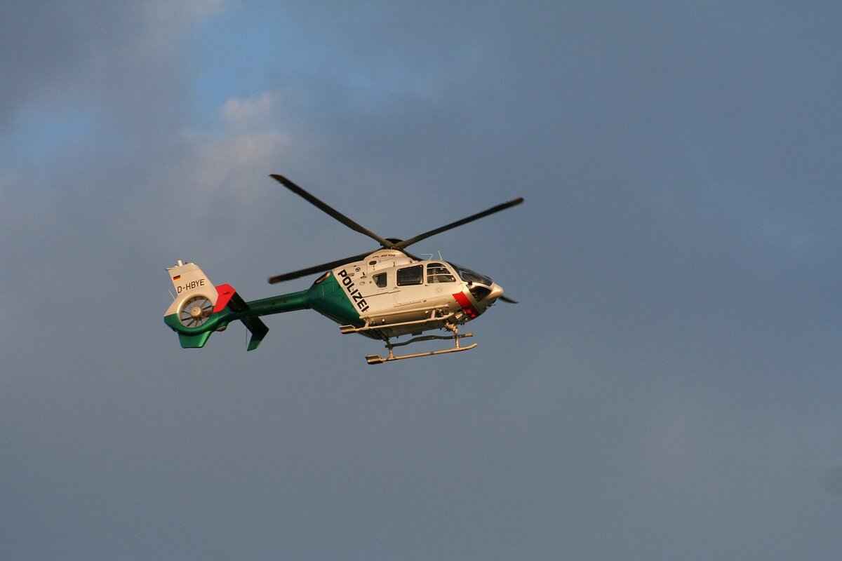 Paw Patrol DVDs: Where to Buy the Best Episodes & Collections 1 Why Choose Paw Patrol DVDs?