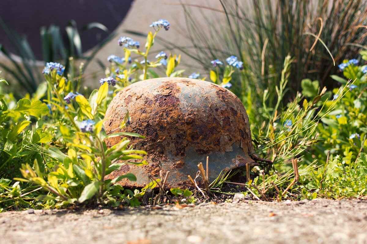 Maintenance Tips for Longevity