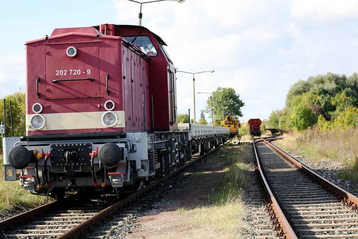 Paw Patrol Party Supplies for Celebrations