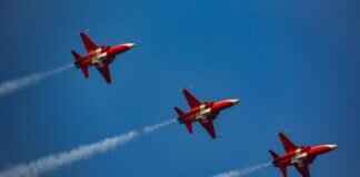 Paw Patrol Merchandise: Where to Find the Best Deals Paw Patrol Merchandise: Where to Find the Best Deals