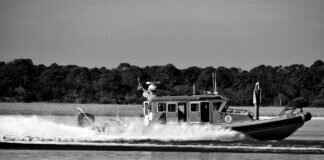 Paw Patrol Rugs: The Cutest Floor Decor for Playrooms Paw Patrol Rugs: The Cutest Floor Decor for Playrooms