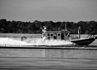 Paw Patrol Rugs: The Cutest Floor Decor for Playrooms Paw Patrol Rugs: The Cutest Floor Decor for Playrooms