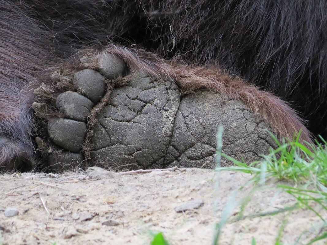 How to Choose the Right Size