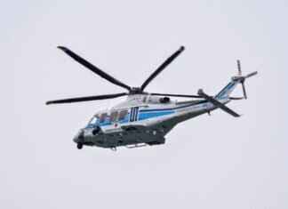 Paw Patrol Swimwear: Best Picks for Pool and Beach Fun Paw Patrol Swimwear: Best Picks for Pool and Beach Fun