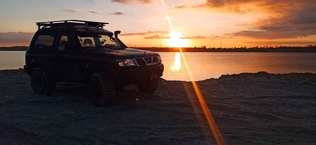 Theatrical and Streaming Options