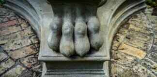 Paw Patrol: The Movie (2021) – Plot & Review Paw Patrol: The Movie (2021) – Plot & Review