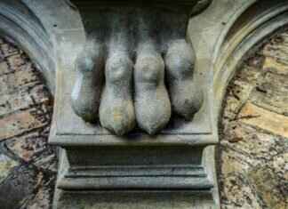 Paw Patrol: The Movie (2021) – Plot & Review Paw Patrol: The Movie (2021) – Plot & Review