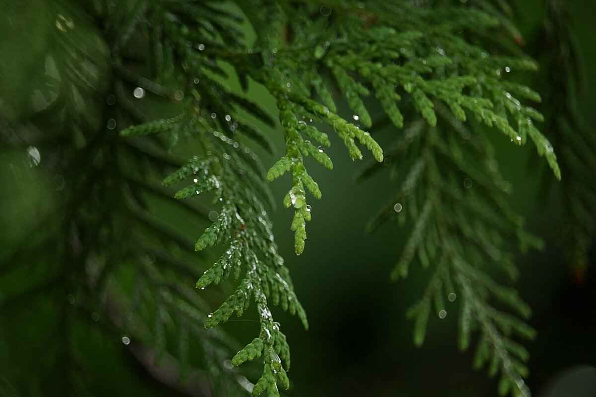 References to the Original Series