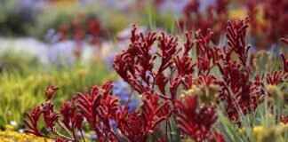 Paw Patrol Wall Decals: The Easiest Way to Decorate a Room Paw Patrol Wall Decals: The Easiest Way to Decorate a Room