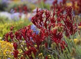 Paw Patrol Wall Decals: The Easiest Way to Decorate a Room Paw Patrol Wall Decals: The Easiest Way to Decorate a Room