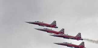 Paw Patrol YouTube: The Best Episodes and Clips Online Paw Patrol YouTube: The Best Episodes and Clips Online