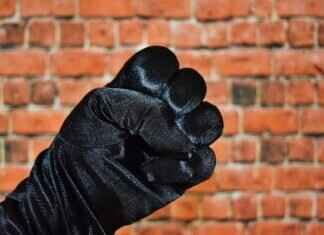 Pelipper Pokémon Competitive Guide: Best Abilities, Moves, and Battle Combos Pelipper Pokémon Competitive Guide: Best Abilities, Moves, and Battle Combos