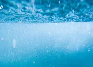 Unlock the Secrets of Corpenpelloz: A Deep Dive into Its Impact & Benefits