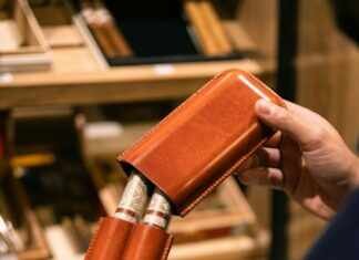 Discover the Best Luxury Cigar Cases for Ultimate Sophistication