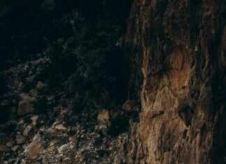 Discover the Ultimate Ford F350 Tremor: Your Dream Off-Road Companion!