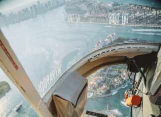 Explore the Latest Updates on the Florida Softball Schedule!