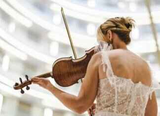 Pink Concert St. Louis: How to Get Tickets and What to Expect Pink Concert St. Louis: How to Get Tickets and What to Expect