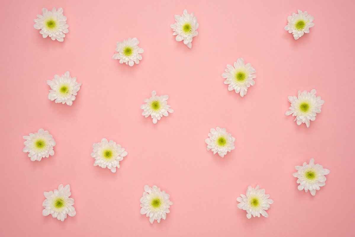 What Safety Measures are in Place for Concert Attendees?