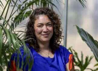 Plant shop owner revives business post-gentrification in old neighborhood. plant-shop-owner-revives-business-post-gentrification-in-old-neighborhood