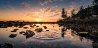 Poliwhirl Pokémon Features, Abilities, Strengths, Weaknesses, and Best Battle Strategies Poliwhirl Pokémon Features, Abilities, Strengths, Weaknesses, and Best Battle Strategies