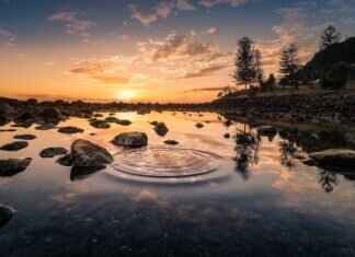 Poliwhirl Pokémon Features, Abilities, Strengths, Weaknesses, and Best Battle Strategies Poliwhirl Pokémon Features, Abilities, Strengths, Weaknesses, and Best Battle Strategies