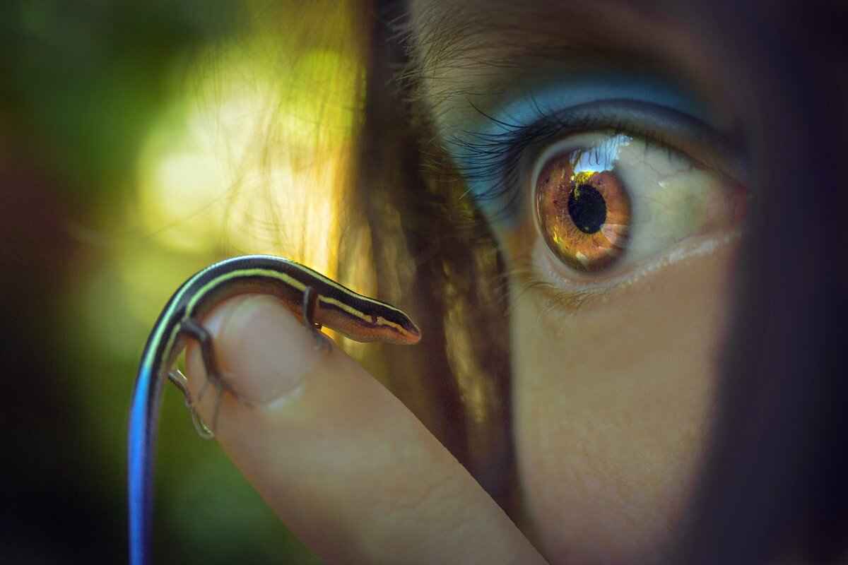 Poliwrath Pokémon Stats, Moveset, Evolution, and How to Use It in Battles 2 Poliwrath Evolution: How to Evolve and Best Forms