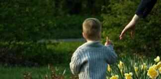 PonderShort.com: A Deep Dive into This Emerging Online Platform PonderShort.com: A Deep Dive into This Emerging Online Platform