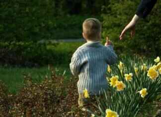 PonderShort.com: A Deep Dive into This Emerging Online Platform PonderShort.com: A Deep Dive into This Emerging Online Platform