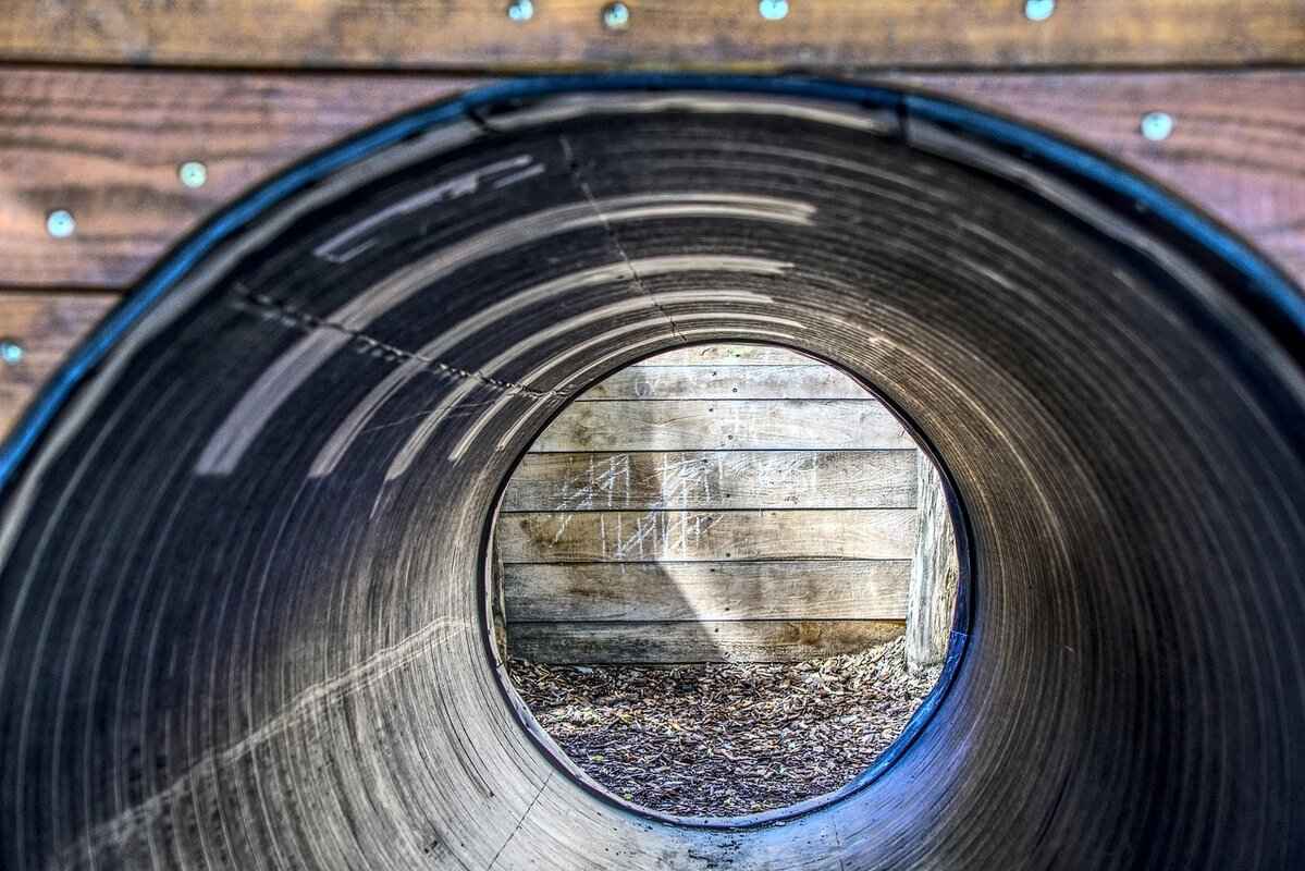 Best Battle Strategies for Poochyena