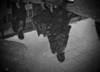 Poor Things Emma Stone: Everything You Need to Know About Her Role Poor Things Emma Stone: Everything You Need to Know About Her Role