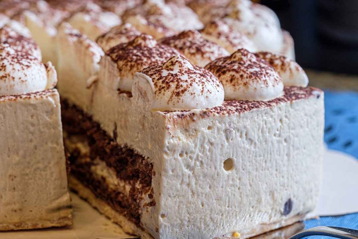 Business Ventures & Future Plans