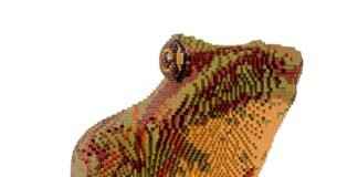 Prinplup Pokémon Evolution, Abilities, Moves, and How to Train It for Competitive Play Prinplup Pokémon Evolution, Abilities, Moves, and How to Train It for Competitive Play