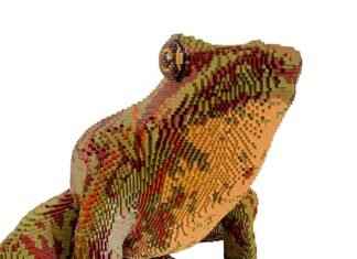 Prinplup Pokémon Evolution, Abilities, Moves, and How to Train It for Competitive Play Prinplup Pokémon Evolution, Abilities, Moves, and How to Train It for Competitive Play