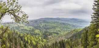 Rachel Dolezal – Rachel Dolezal’s OnlyFans Journey: Why She Joined & How Much She Earns & OnlyFans Leaks Rachel Dolezal – Rachel Dolezal’s OnlyFans Journey: Why She Joined & How Much She Earns & OnlyFans Leaks