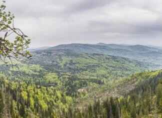 Rachel Dolezal – Rachel Dolezal’s OnlyFans Journey: Why She Joined & How Much She Earns & OnlyFans Leaks Rachel Dolezal – Rachel Dolezal’s OnlyFans Journey: Why She Joined & How Much She Earns & OnlyFans Leaks