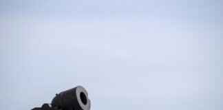 Raikou Pokémon Best Moves, Strengths, and Competitive Battle Guide Raikou Pokémon Best Moves, Strengths, and Competitive Battle Guide